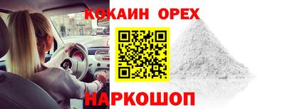 крисы Краснознаменск