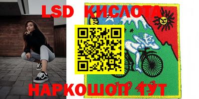 крисы Краснознаменск