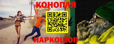 крисы Краснознаменск