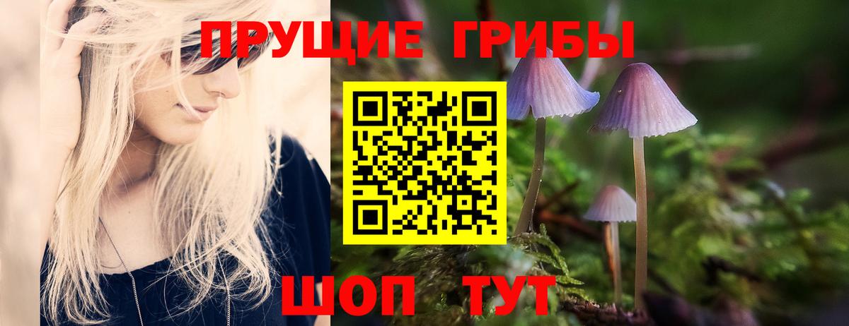 наркота  Псилоцибиновые грибы Cubensis  Вход с VPN  Кашира 