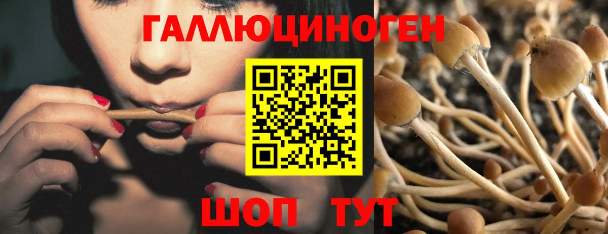 Псилоцибиновые грибы ЛСД Кашира