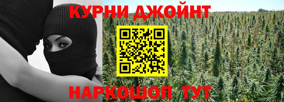 Канабис сатива Кашира